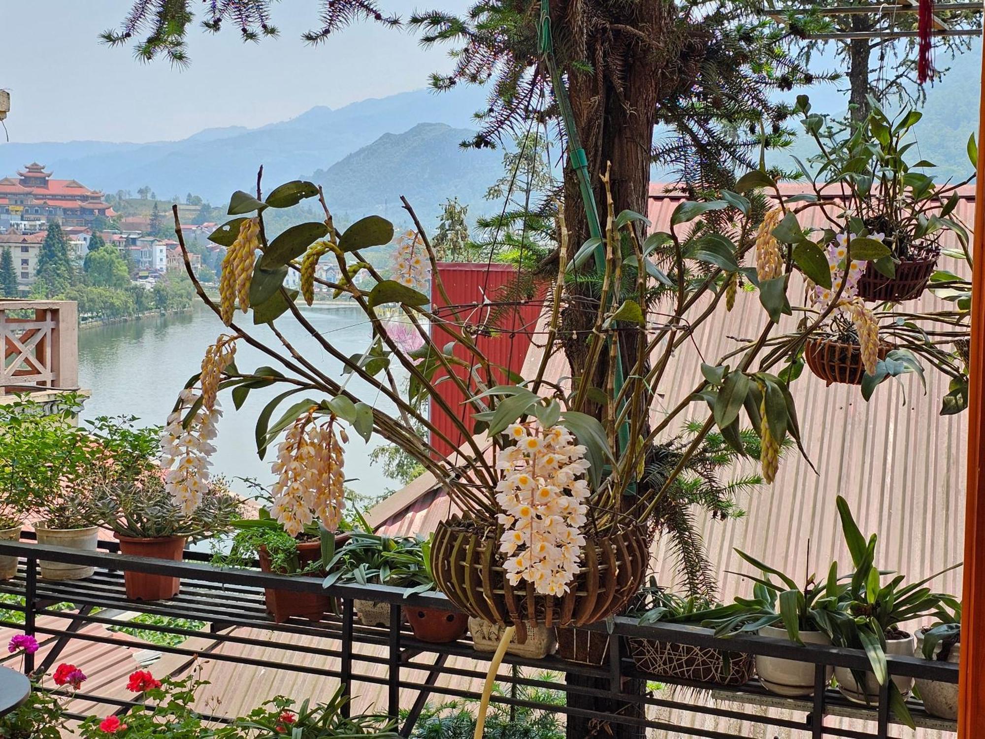 Dang Khoa Garden Inn Homestay Sapa Exteriér fotografie