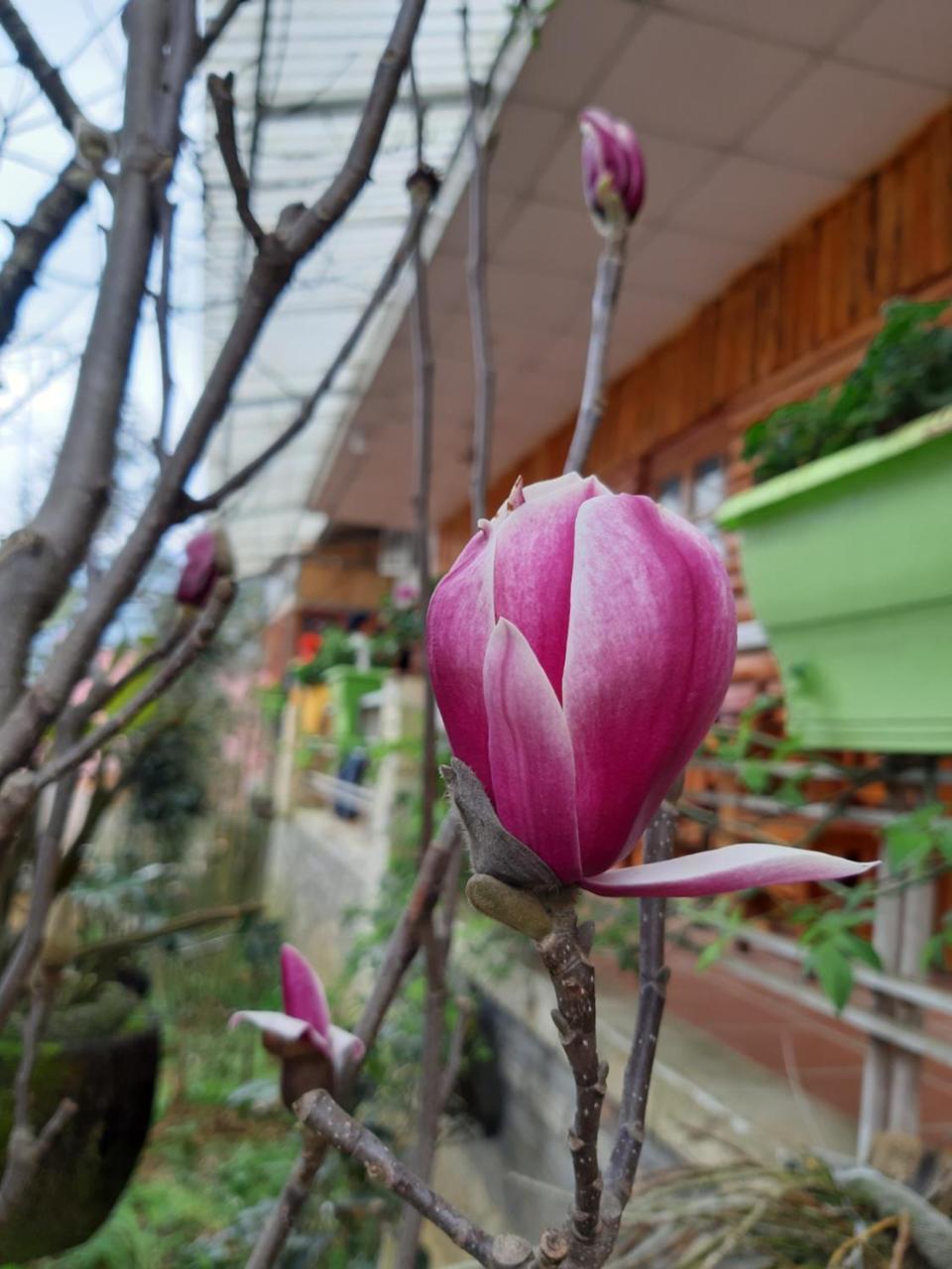 Dang Khoa Garden Inn Homestay Sapa Exteriér fotografie